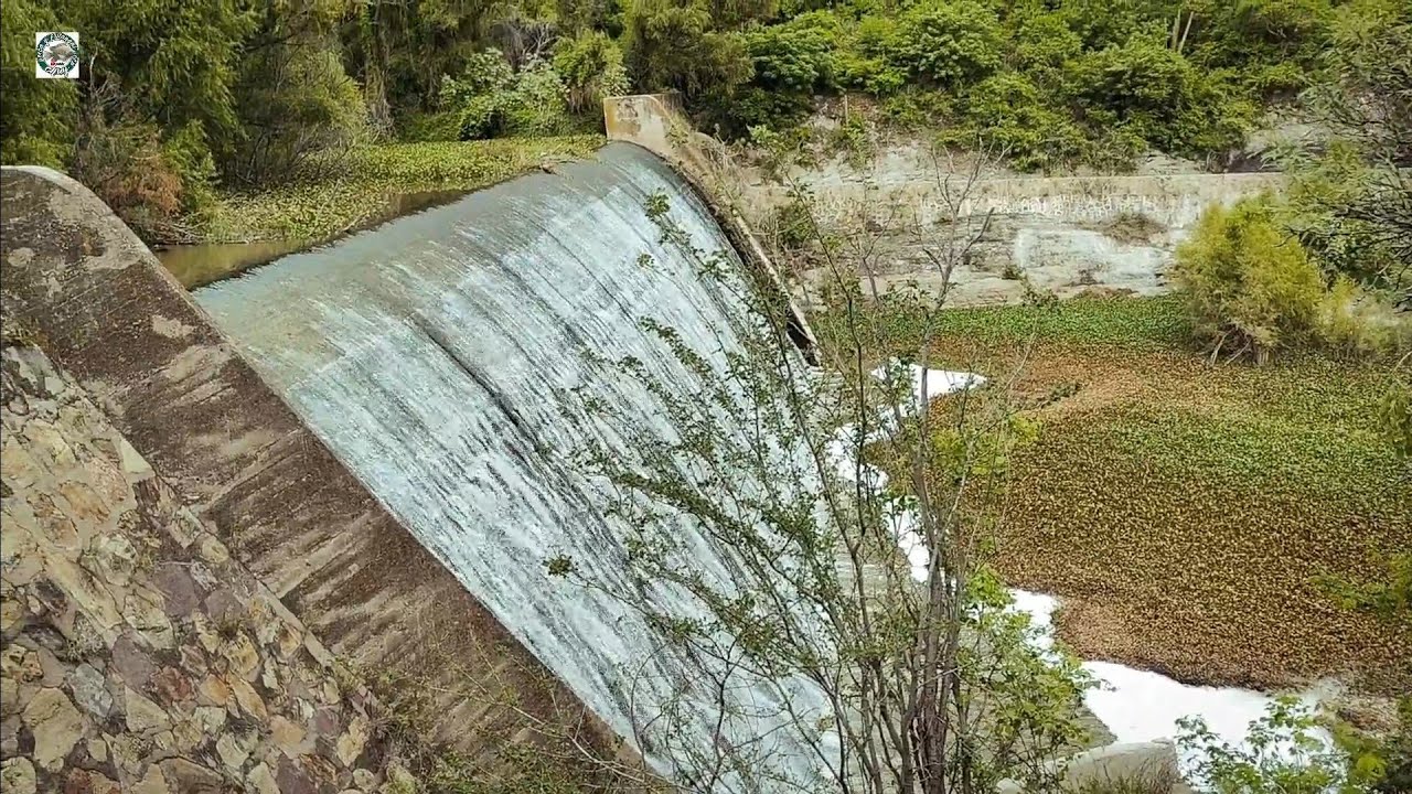 una increible pesca de bagres en la caida de agua del rio con las lluvias