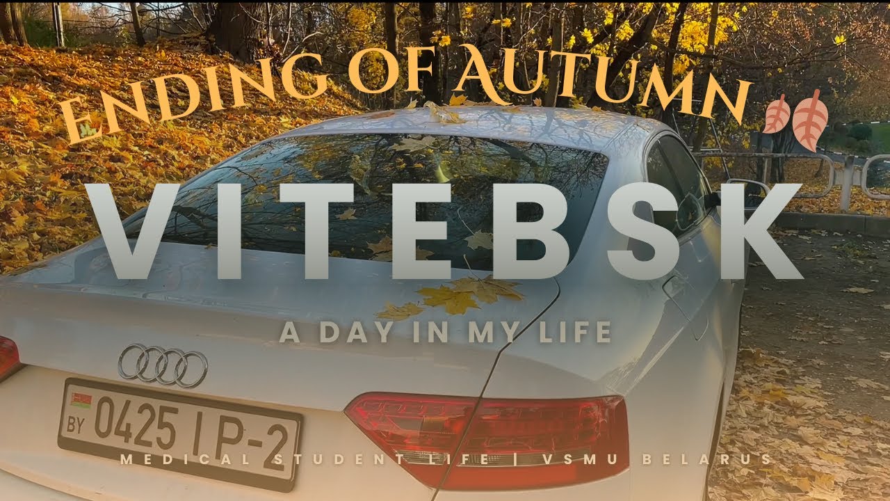 Behind the scrubs my daily med school journey | Autumn 🍂.