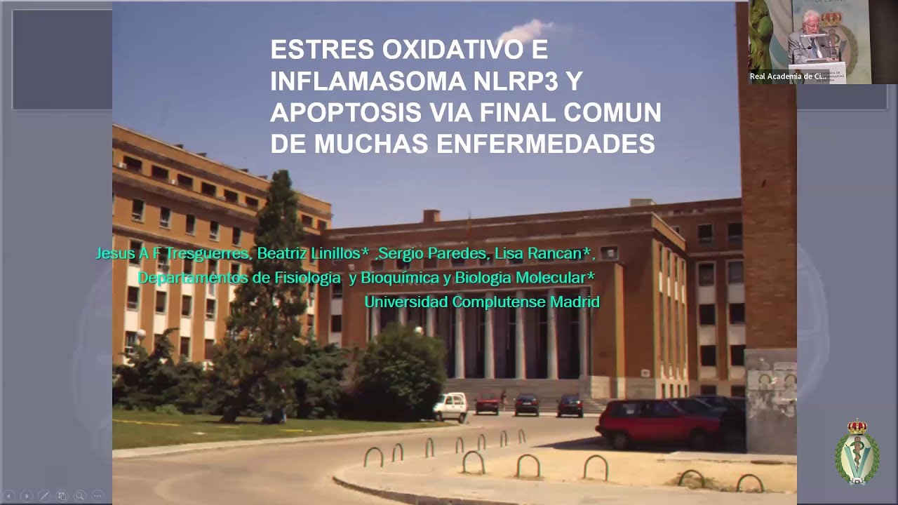 Jesús Ángel Fernández-Tresguerres Hernández: Estrés oxidativo e inflamasoma - 23/06/2025