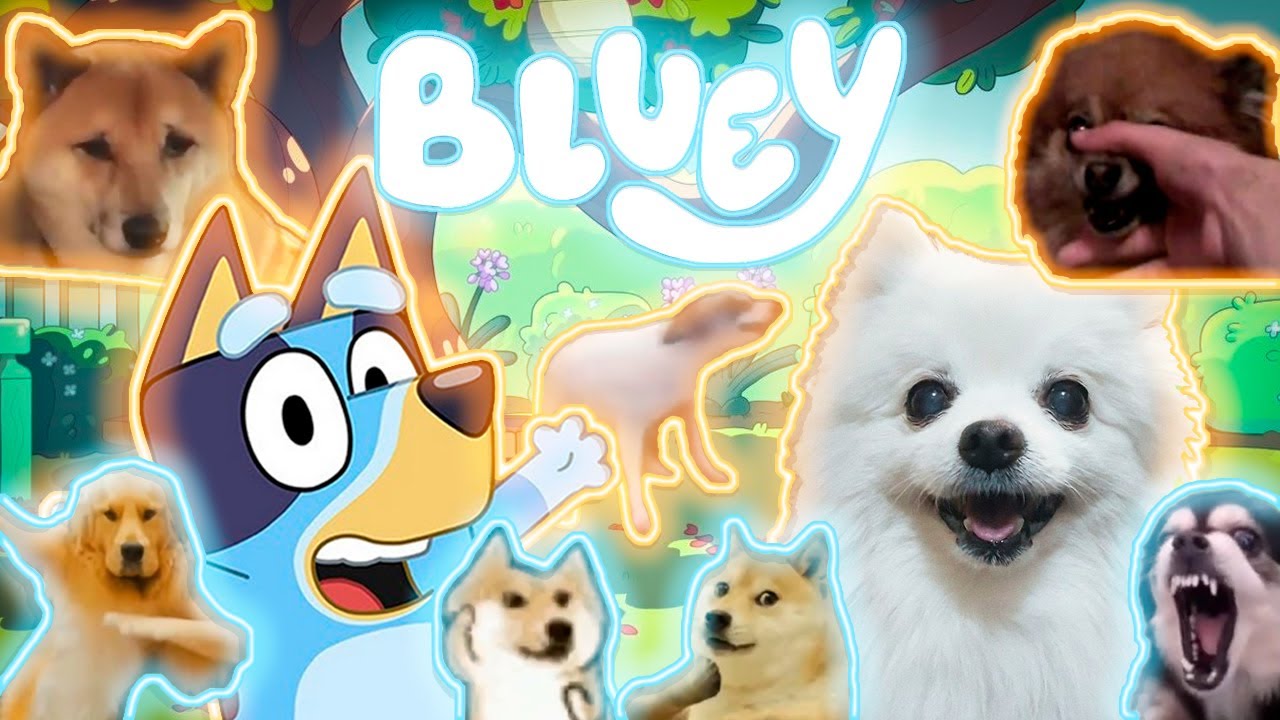 BLUEY em cachorr&ecirc;s