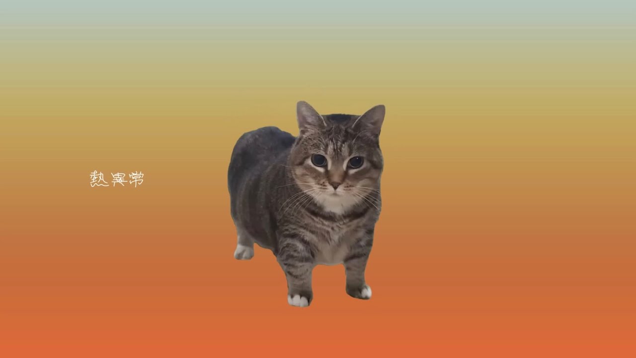 猫異常 【Full】