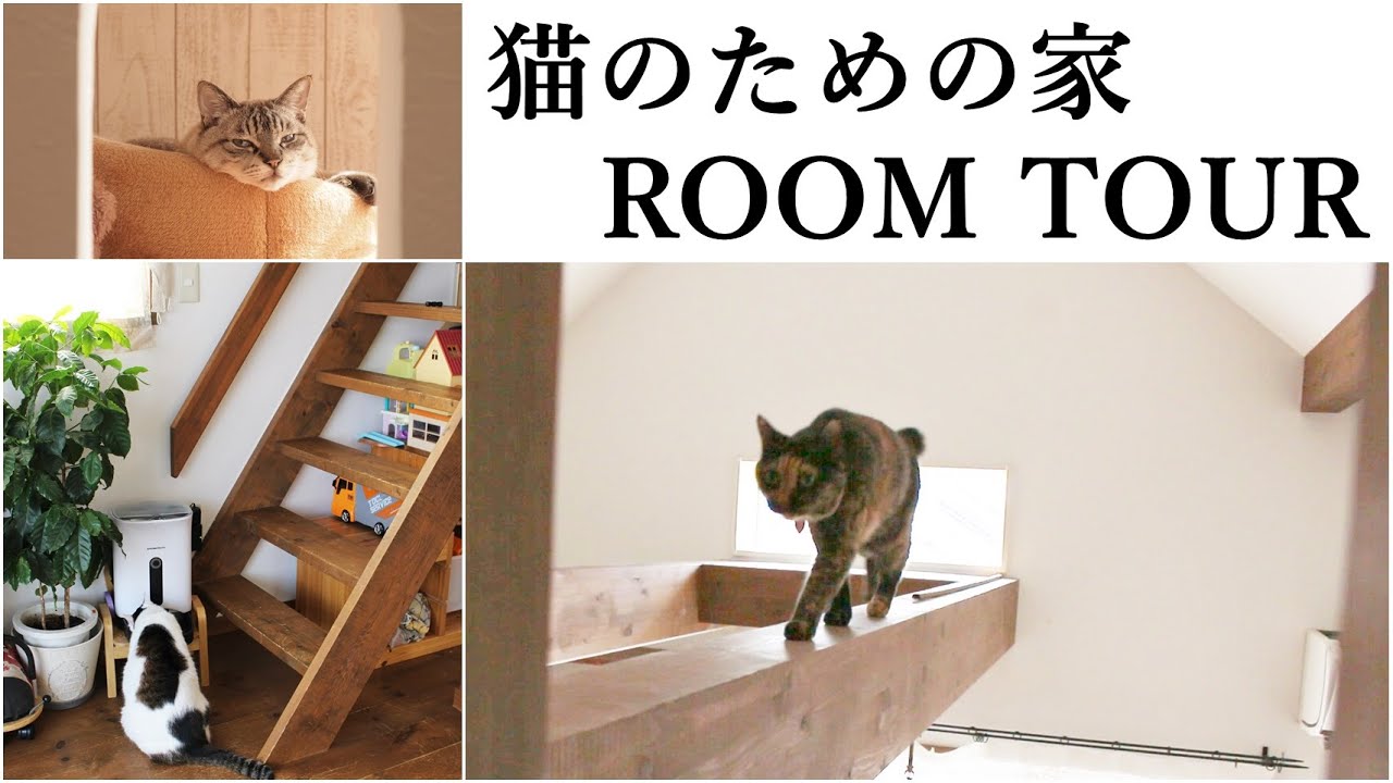 猫のための家ルームツアー｜小さいお家で工夫して楽しく暮らしています。｜Room tour of 