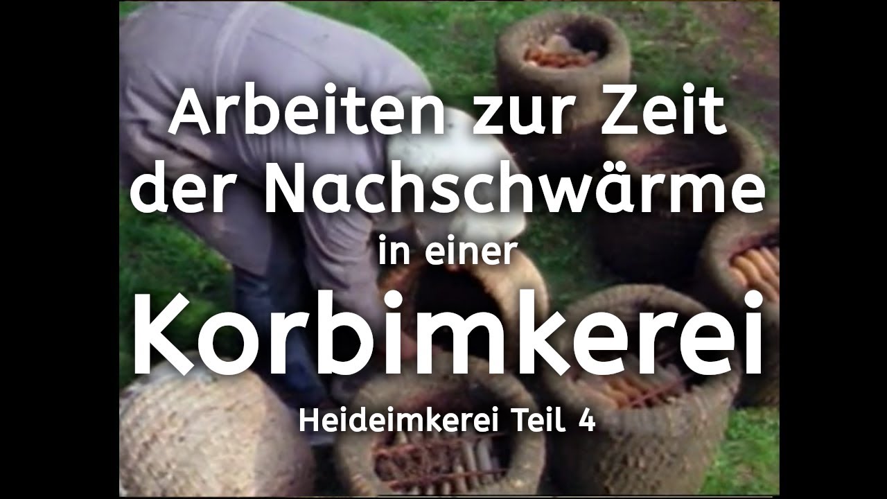 Arbeiten zur Zeit der Nachschwärme in einer Korbimkerei | Heideimkerei Teil 4 | Imker | Bienen