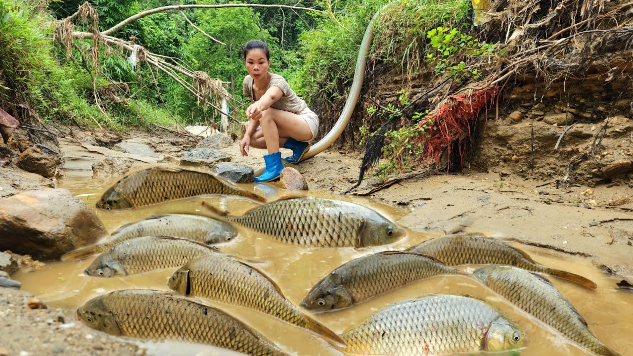 The girl used a pump to pump water out to catch fish in a natural puddle.| Ana fishing