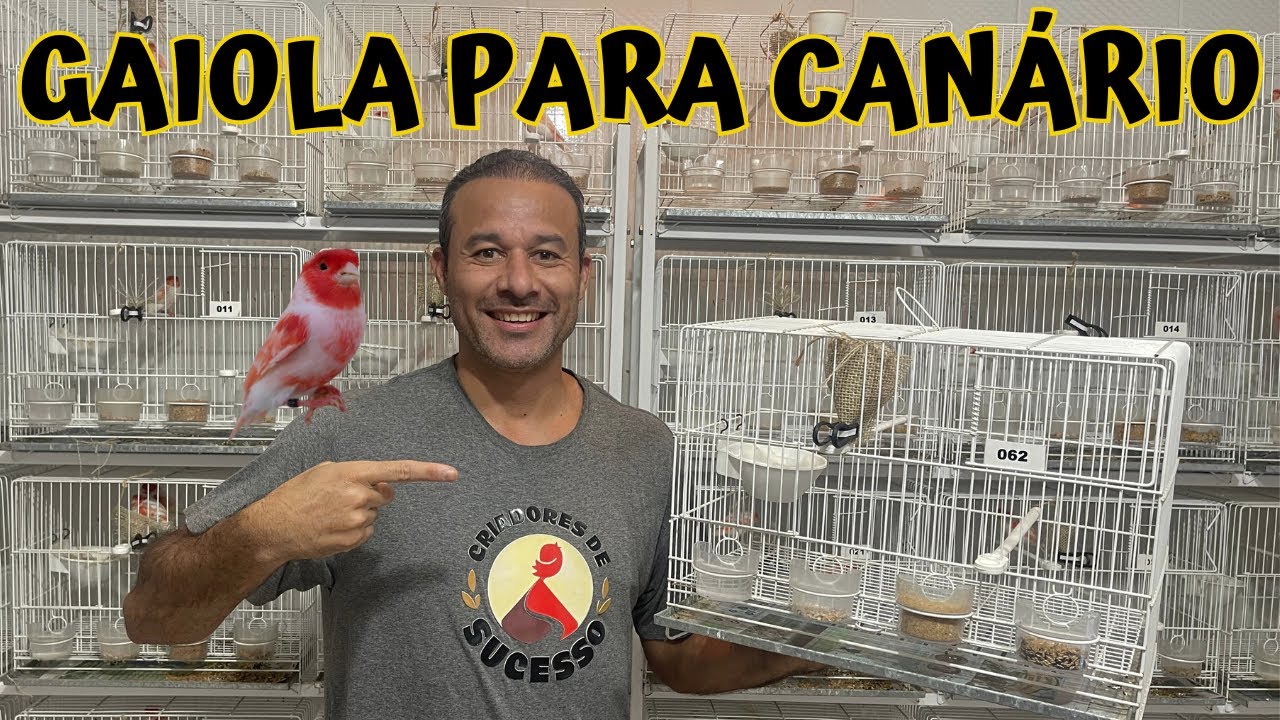 Como preparar a GAIOLA para a REPRODUÇÃO dos CANÁRIOS