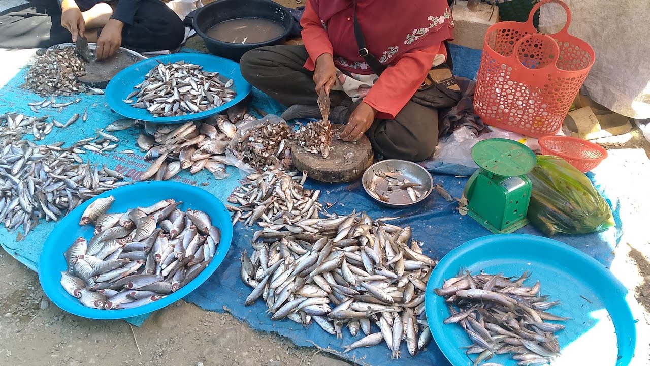 AMAZING! FISH CUTTING, KVEAN Market, Battambang #aseanfish 