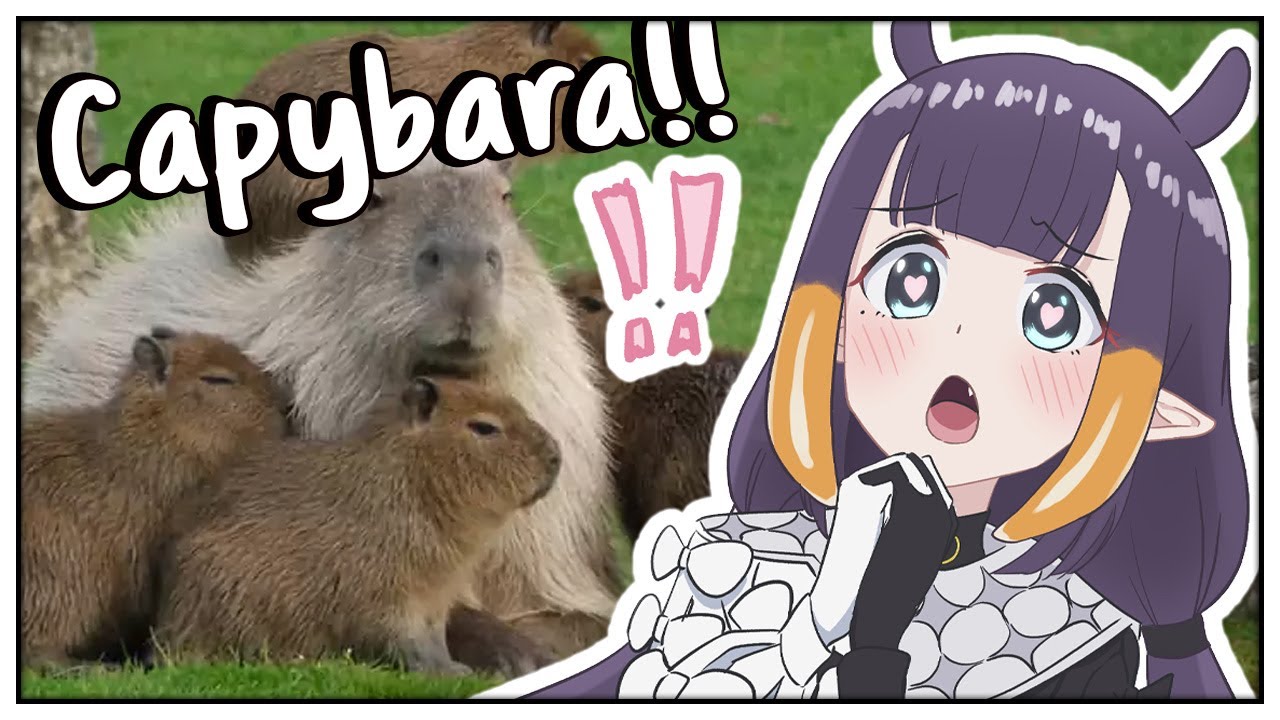 Ina got distracted by Capybaras