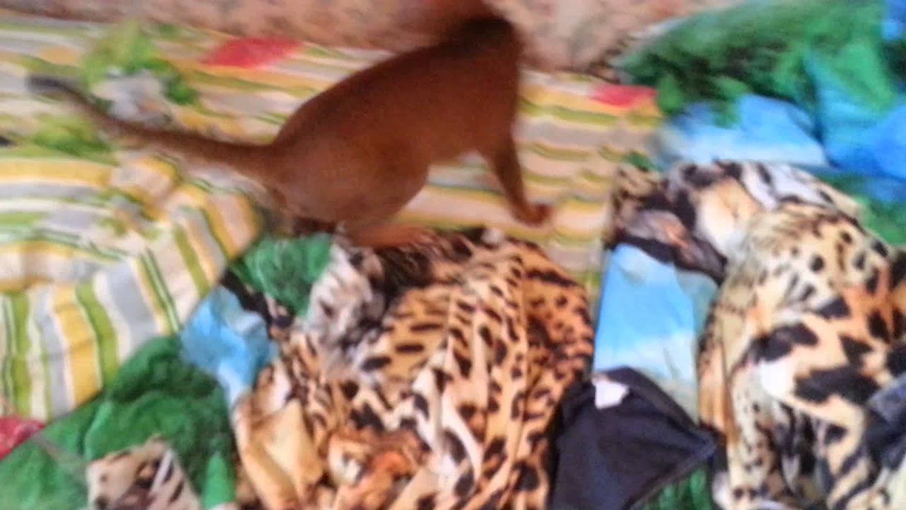 20151014 143544