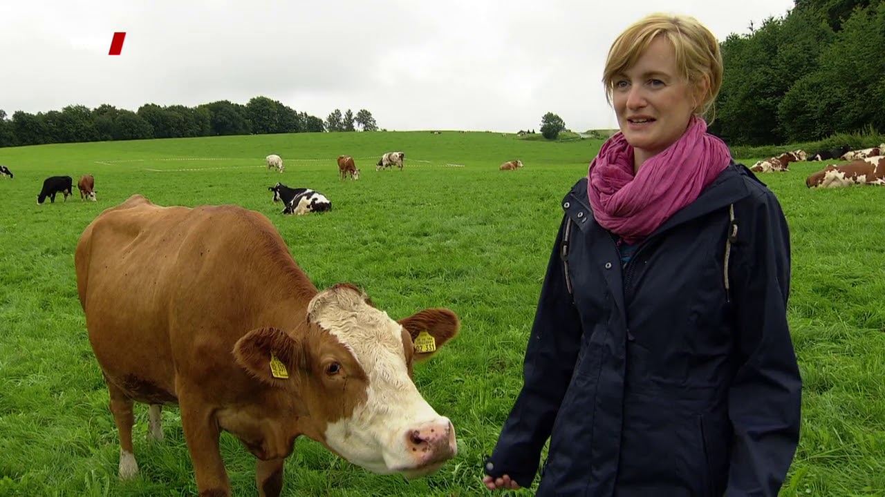 Weidemilch Neues Siegel sorgt für Klarheit Iris Rohmann WDR MARKT