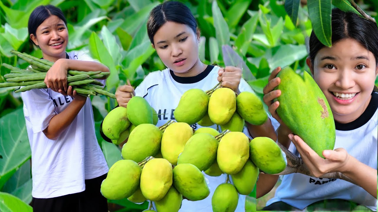 အသီးအရွက်စုံ ခြံထွက်စစ်စစ် ဘာတွေလဲဆိုတာ