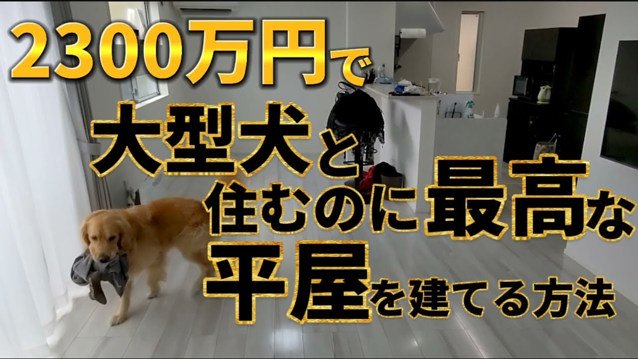 大型犬と暮らす新築平屋住宅を格安で建てる方法【土地・外構費こみ】