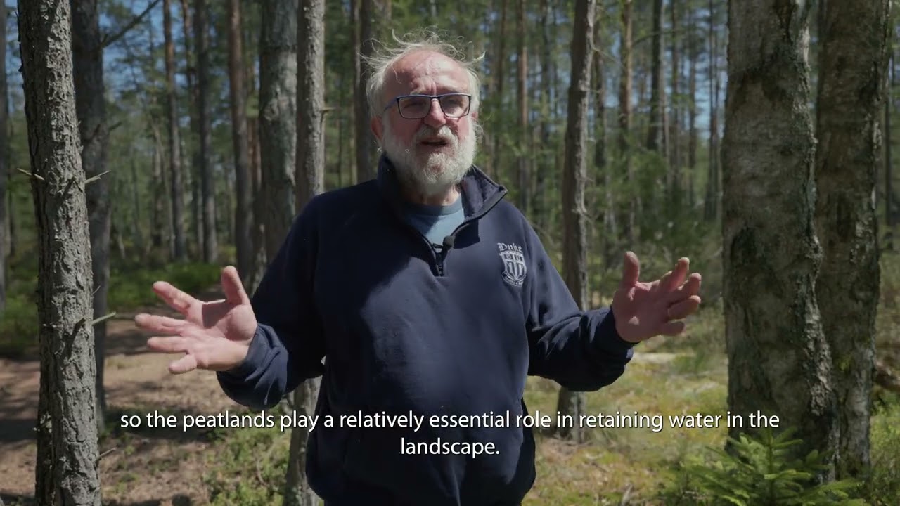 prof. Jan Vymazal - Rašeliniště