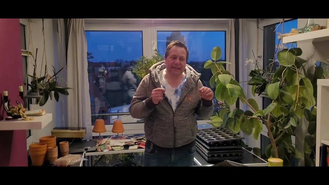 Die Anzuchten