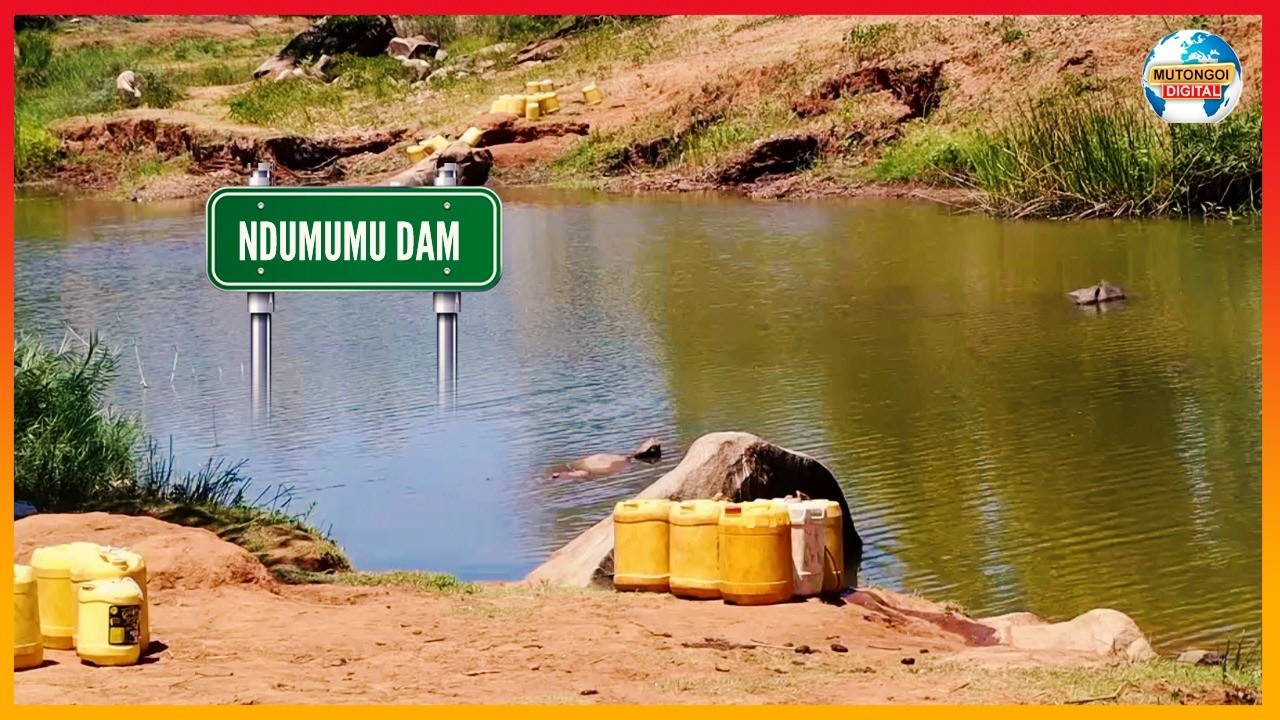 EKALI MA NDUMUMU MASAKU KULEANA NA KUKUSW'A KIW'U KUMA SILANGANI WA NDUMUMU