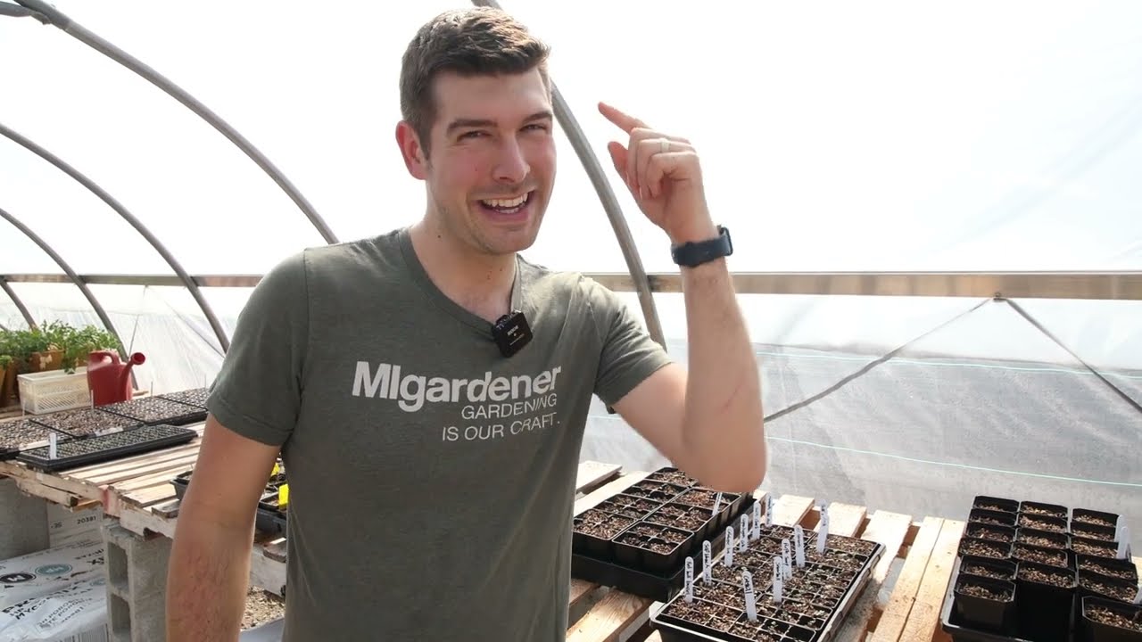 Never OVERWATER Your Seedlings Again!