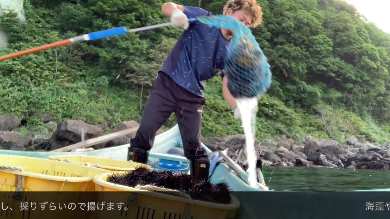 ウニ漁　第２弾