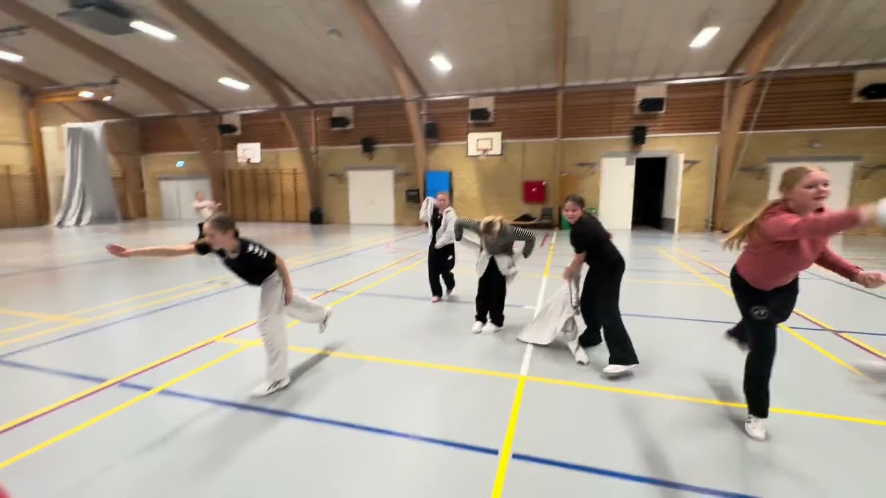Hele opvisningsprogramet
