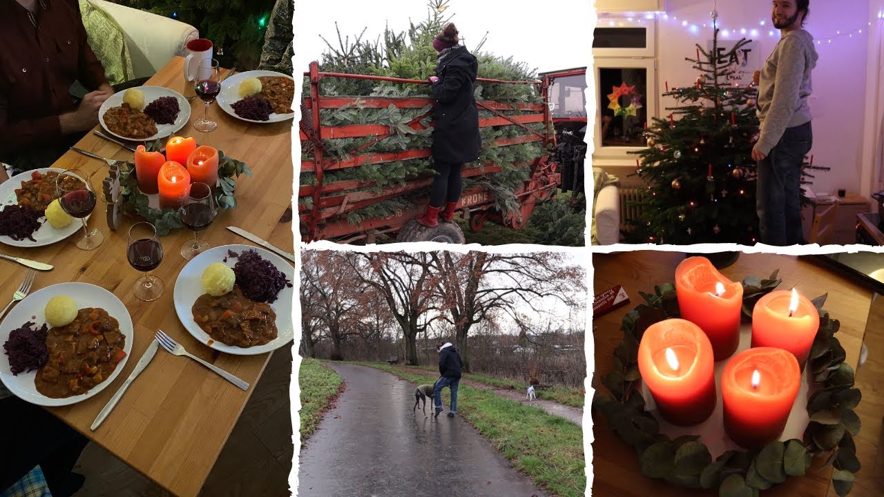 Weihnachten in der 5er WG - entspannter Vlog - veganes Essen, Baum retten, Stollen backen ...