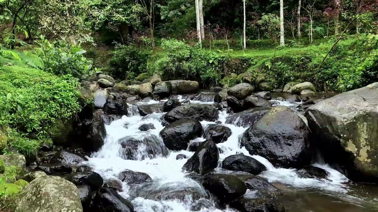Feel emotional comfort with peaceful river ambience around soft flowing stream for restful sleep