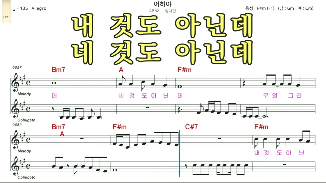 어허야(원곡 정다한)불타는트롯맨[구독,좋아요]감사합니다 노래따라부르기-6편 영상 편집,제작,노래#가수류경#영암연가#사주팔자#마지막로맨스