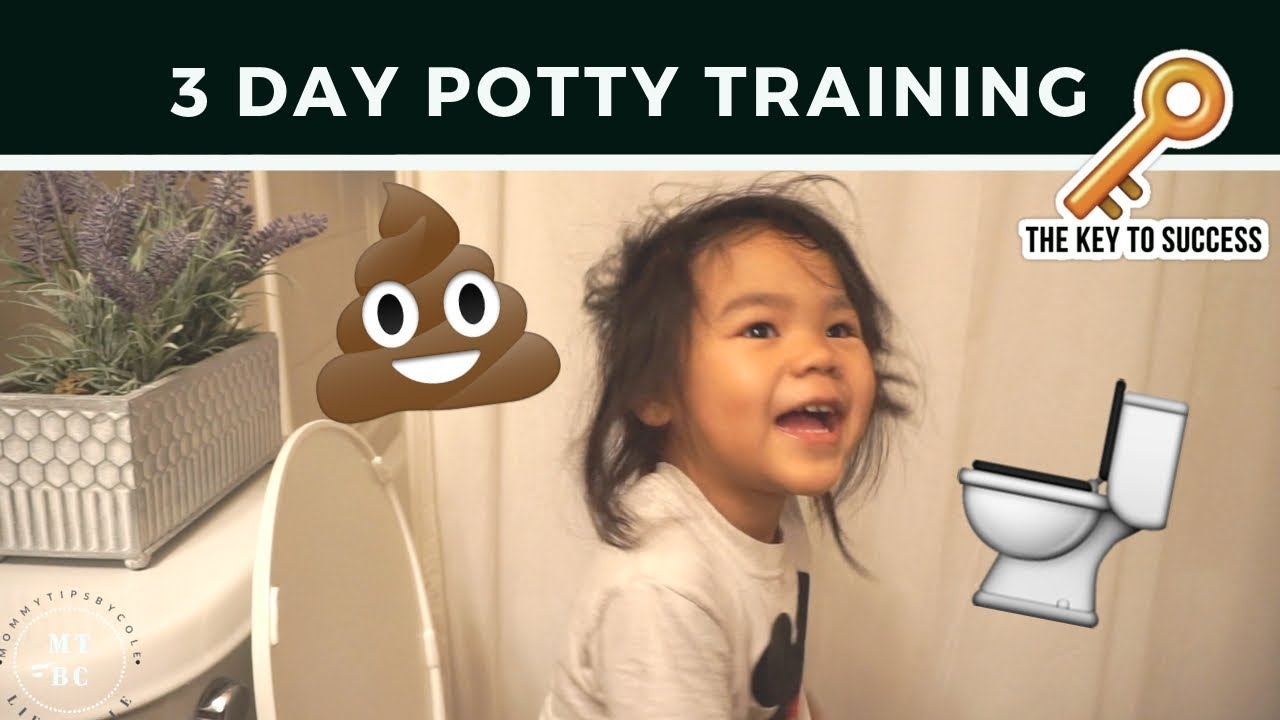 HOW TO POTTY TRAIN IN 3 DAYS! | TeamYniguez Vlogs
