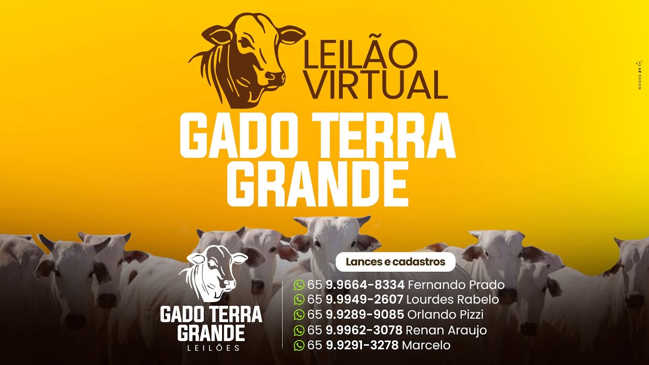 Leilão Virtual Gado Terra Grande 10.02.26