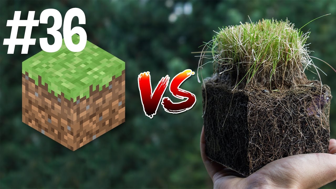 Minecraft vs Real Life 36