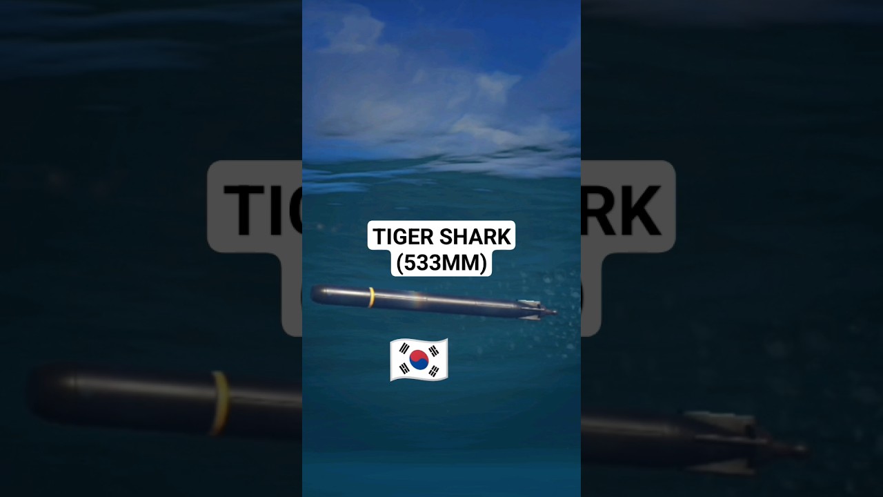TIGER SHARK (533MM) - South Korean wire-guided heavyweight torpedo | modern warships #Shorts