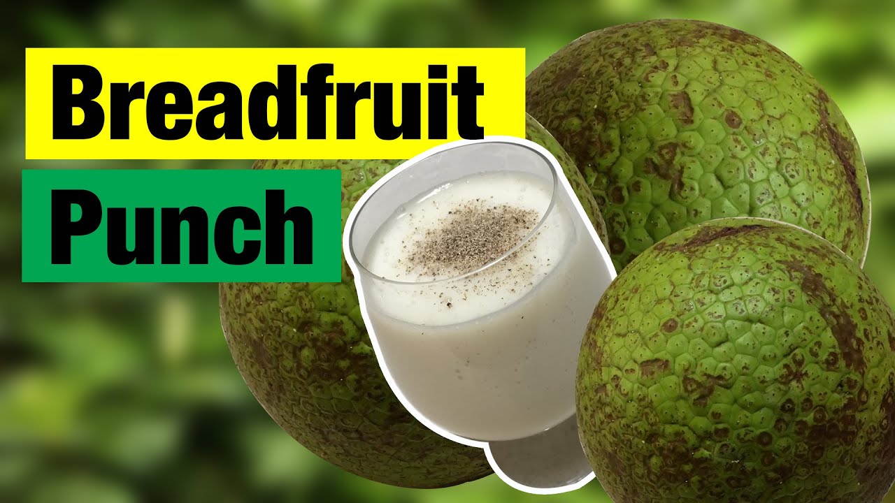 How to make Breadfruit Punch