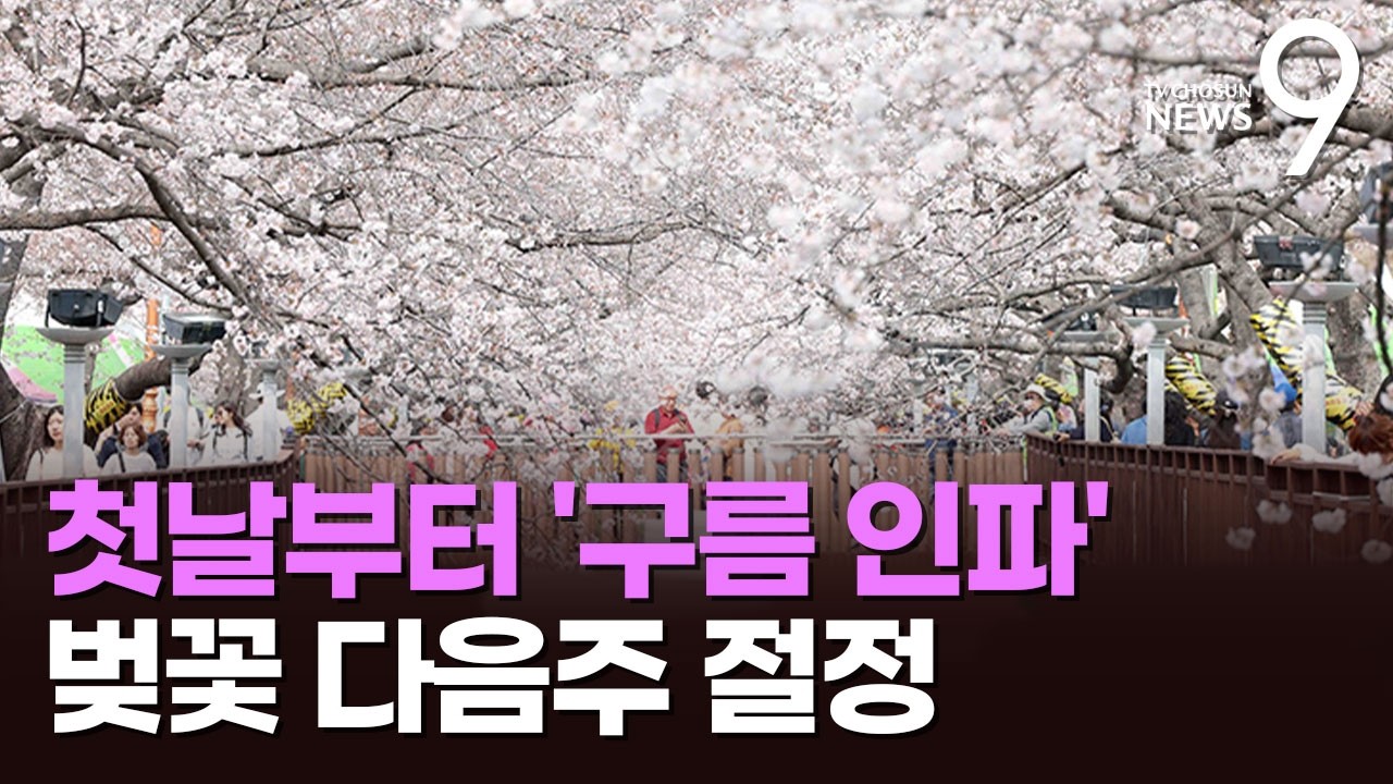 '벚꽃의 향연' 진해군항제 첫날 '인파'&hellip;