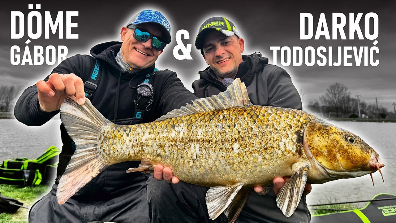 Döme Gábor & Darko Todosijević / Method Feeder Ribolov - UŽIVO SA VODE