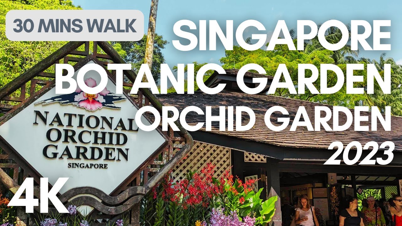 [4K - Virtual Walk] Strolling Through the World's Largest Orchid Garden in Singapore : Oct 2023