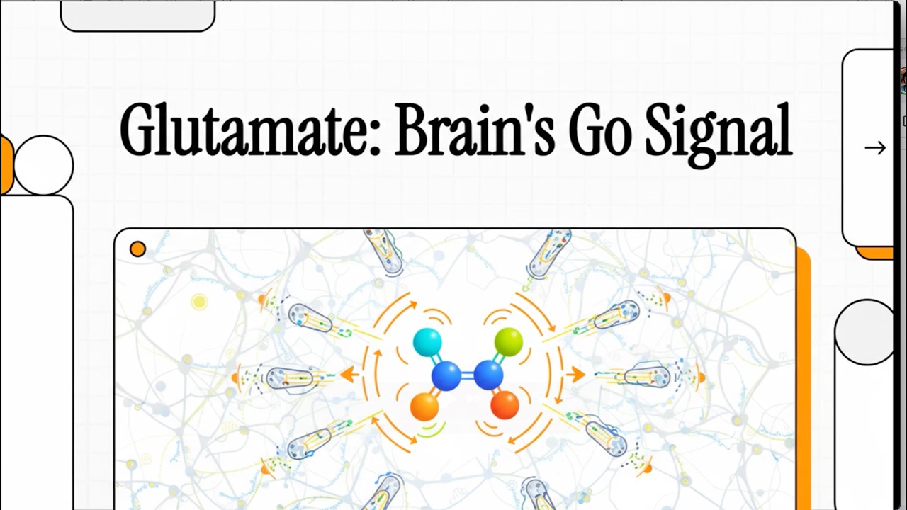 Neuropharmacology: Glutamate Receptors (AMPA, NMDA, & mGluR)(Nestler, Hyman, Malenka, 2009, Ch 5.6)