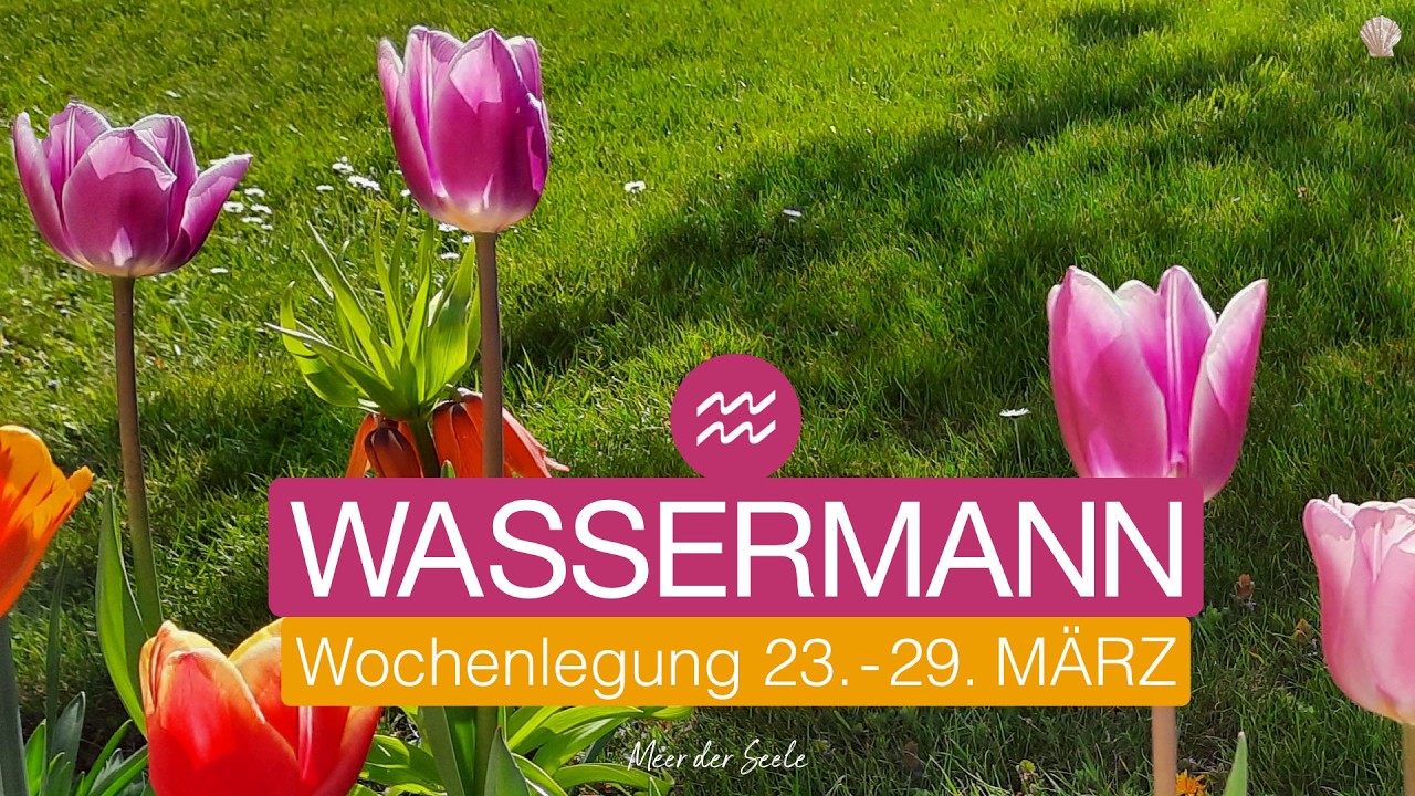 Wassermann ♒️ 
