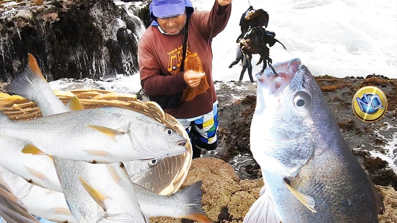¡No vas a creer la cantidad de peces que este pescador atrapó usando su Caña de Pesca y cangrejos!