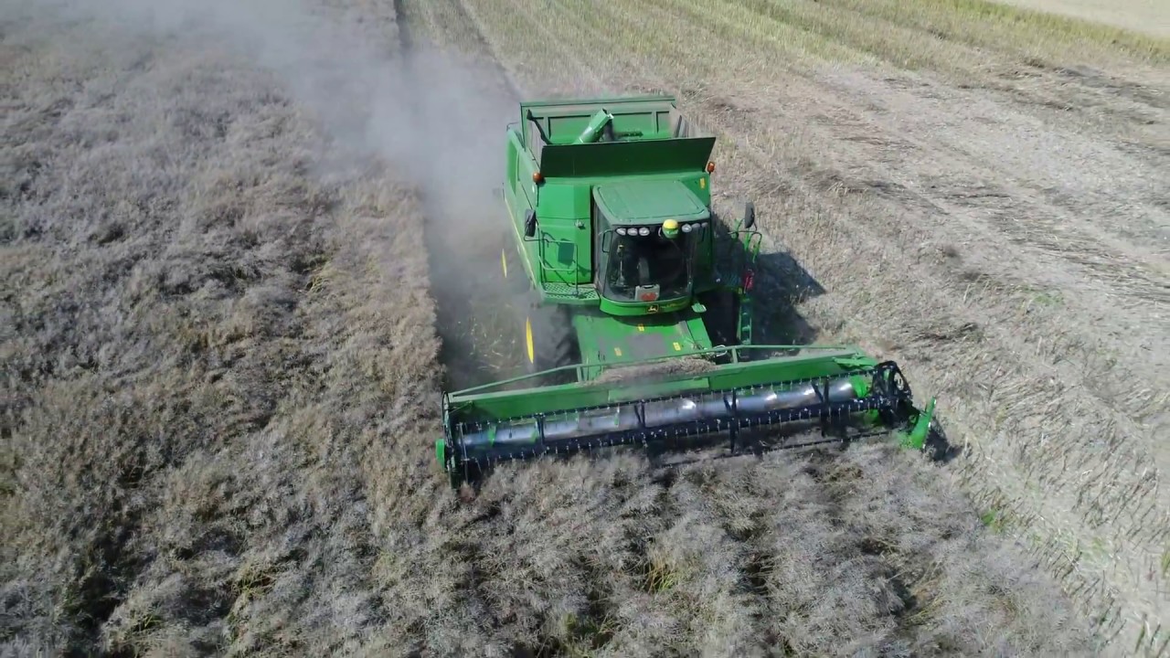 Raps dreschen 2017 °John Deere 9660i WTS° //4K//