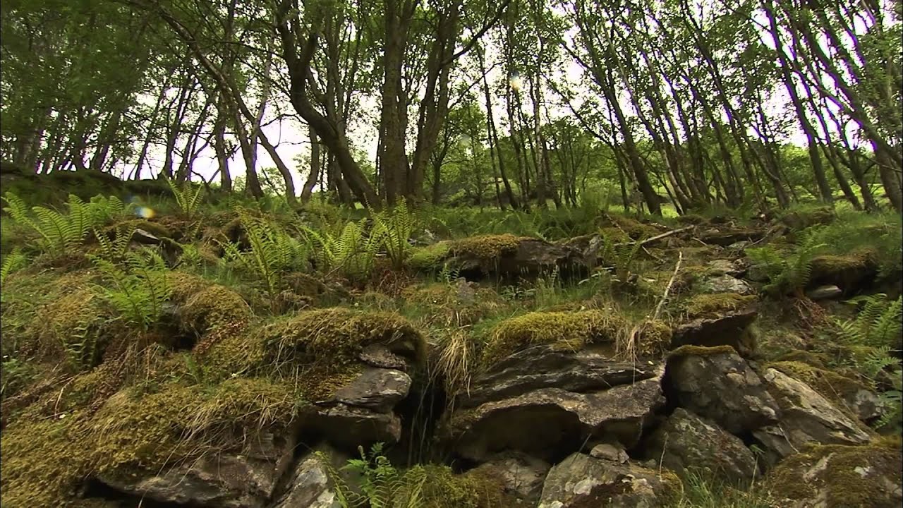 Railway Walks Full Episode 4 : The Whisky Train - Speyside - The Strathspey Railway