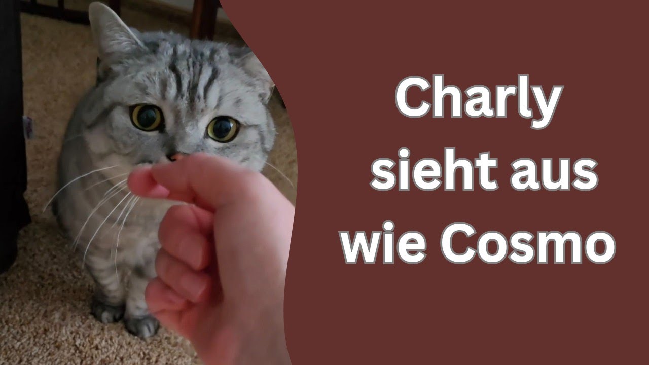 Onkel Charly hat auch Angst vorm Baby 😂