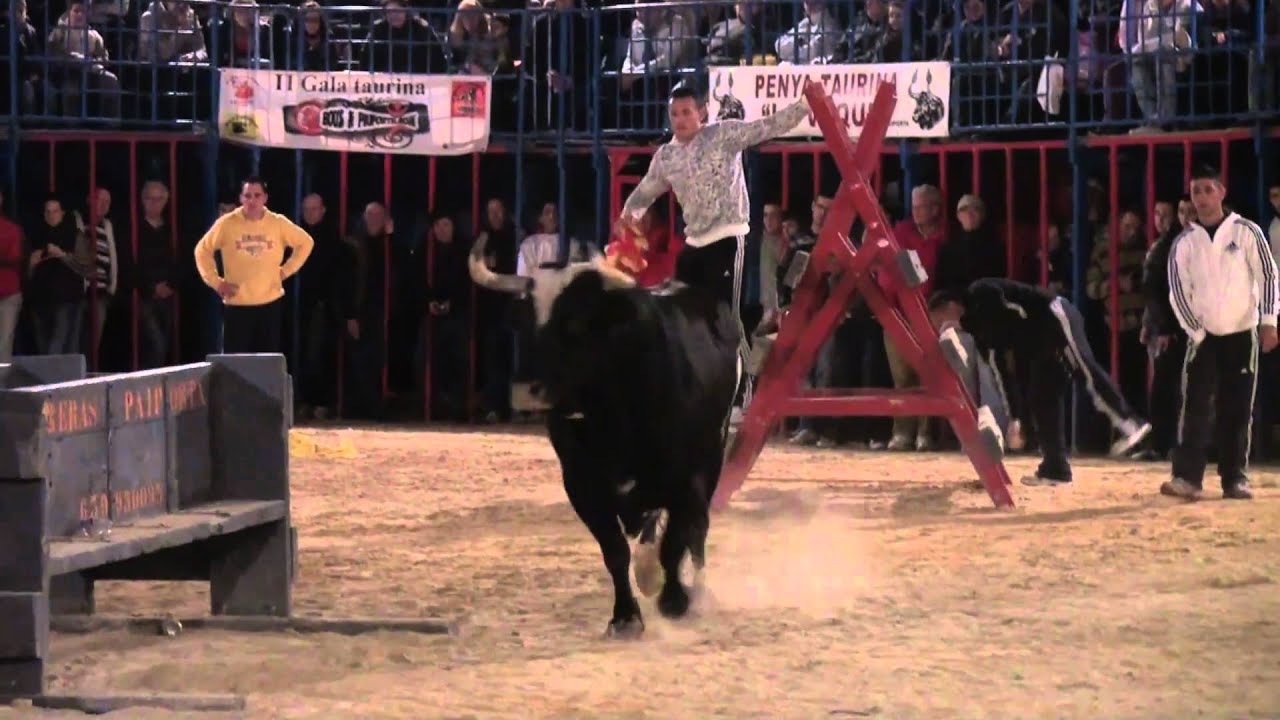 TOROS PAIPORTA - TORO RATÓN (FEB-2011)