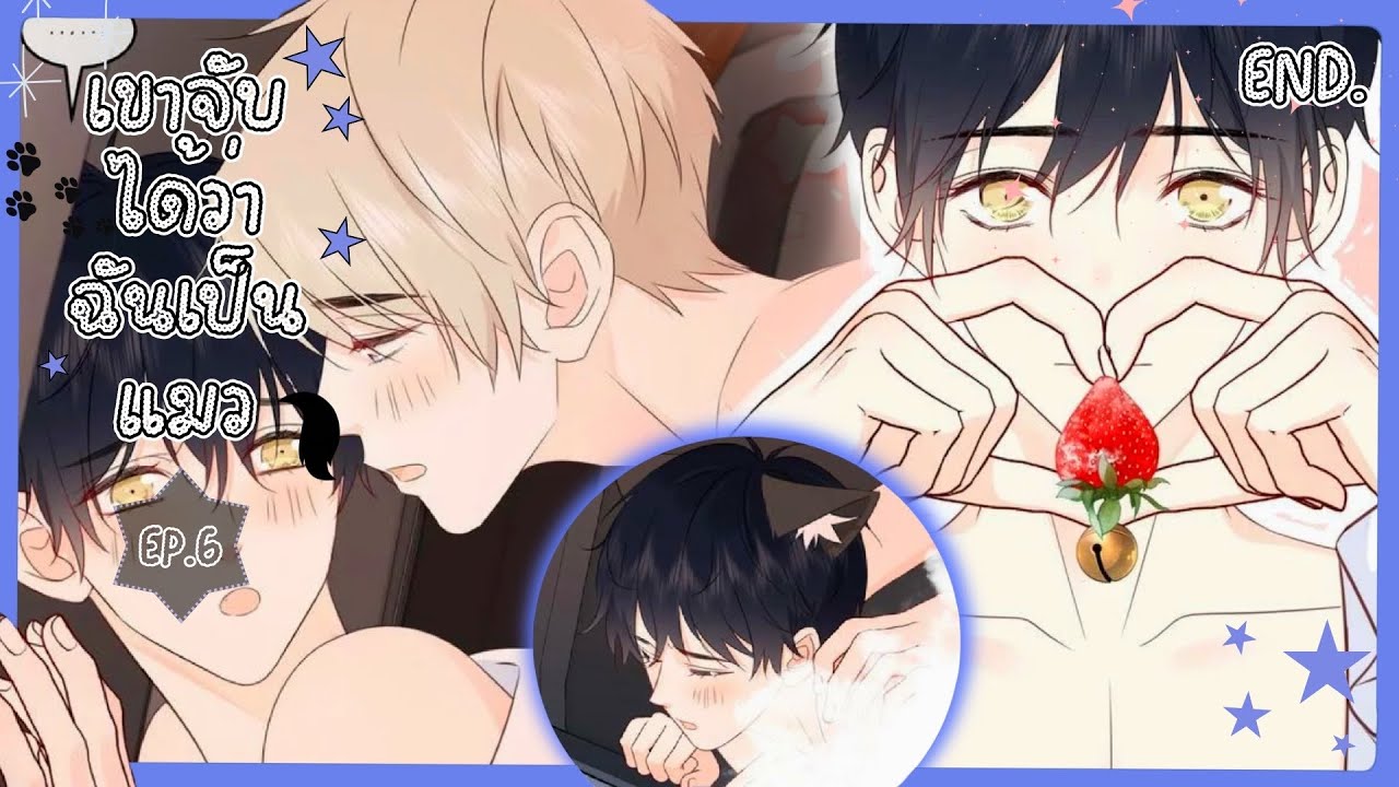 ตอนที่ 6 ₍^. .^₎⟆  เขาจับได้ว่า...ฉันเป็นแมว (ตอนจบ) | สปอยวาย