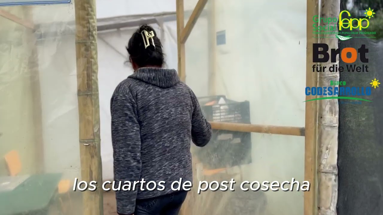 Asesoría técnica desde la Nueva Prefectura - Cooperación Internacional