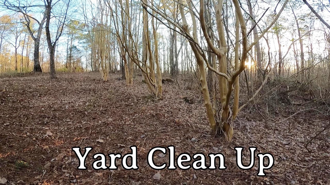 Yard Clean Up