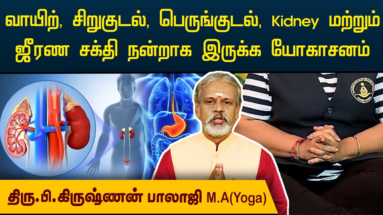 வயிறு, சிறுகுடல், பெருங்குடல், Kidney மற்றும் ஜீரண சக்தி நன்றாக இருக்க யோகாசனம் | Krishnan Balaji |