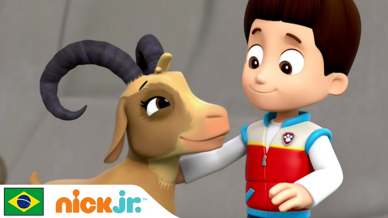 Patrulha Canina | Missão de resgate | Nick Jr. em Português