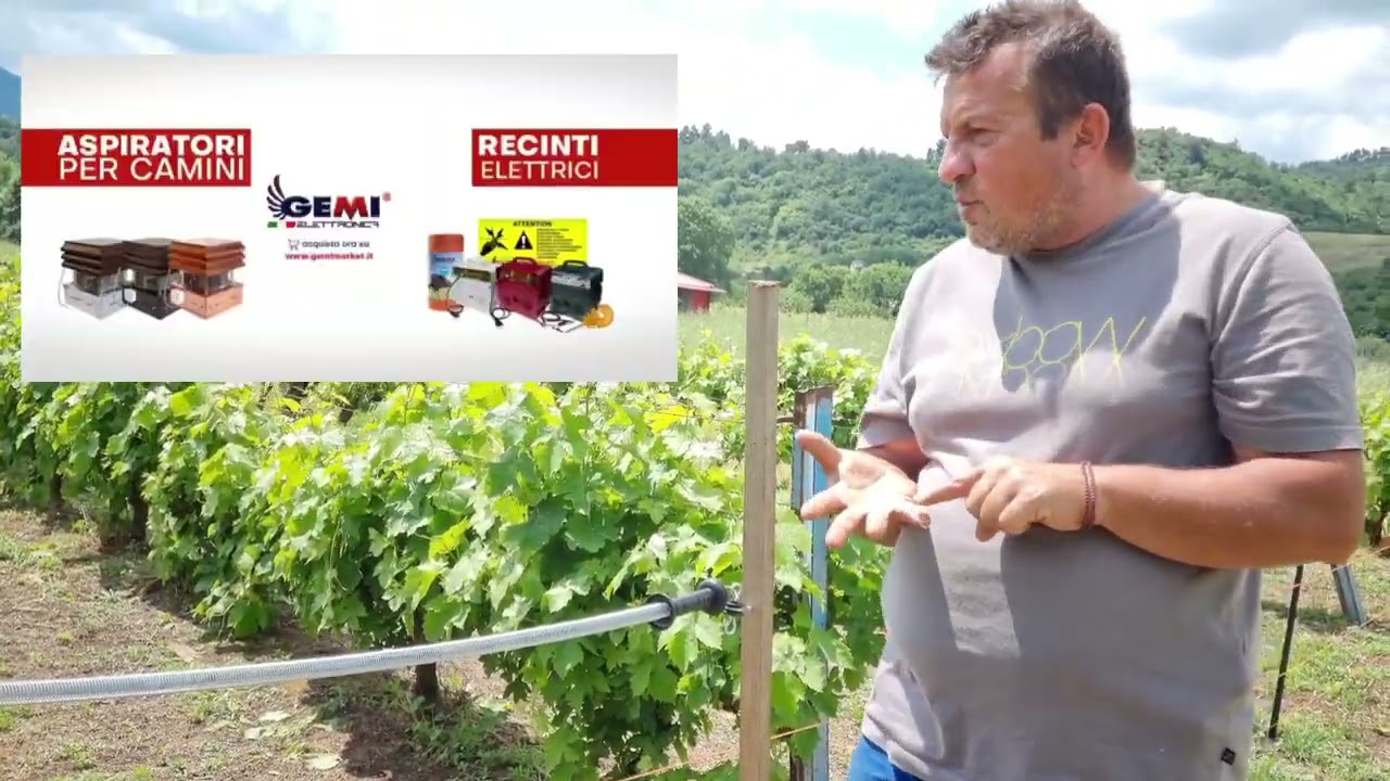 Electric fence Gemi: I'll finally solve my vineyard problems || Ηλεκτρικός φράχτης Gemi