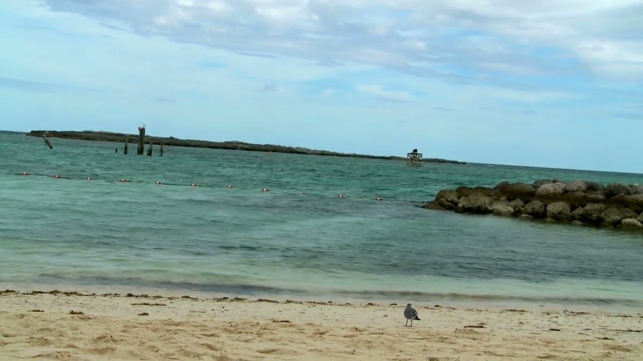 4k video #beach