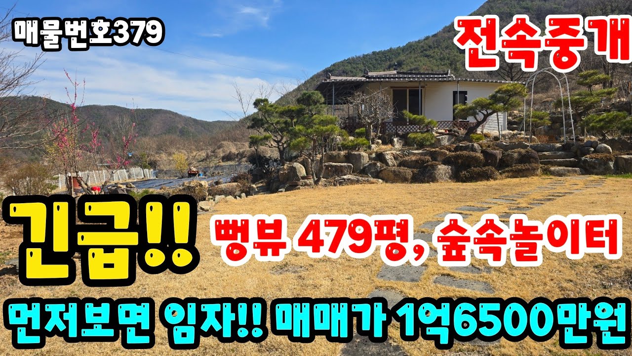 [매물번호379]밀양전원주택매매, 긴급!! 뻥뷰 479평, 숲속놀이터, 먼저보면 임자!! 매매가 1억6500만원 #밀양전원주택매매 #밀양부동산 #밀양세컨하우스 #밀양토지매