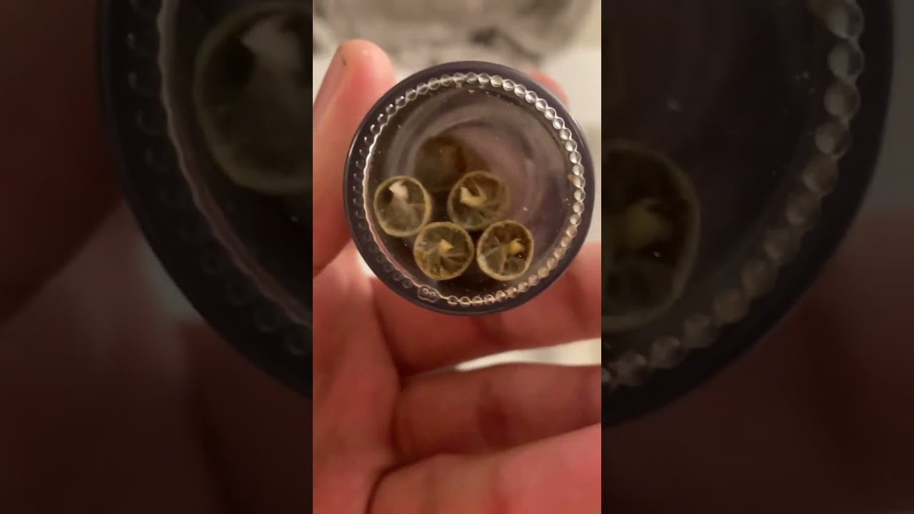 Strain review: Stiiizy 40s Watermelon Z