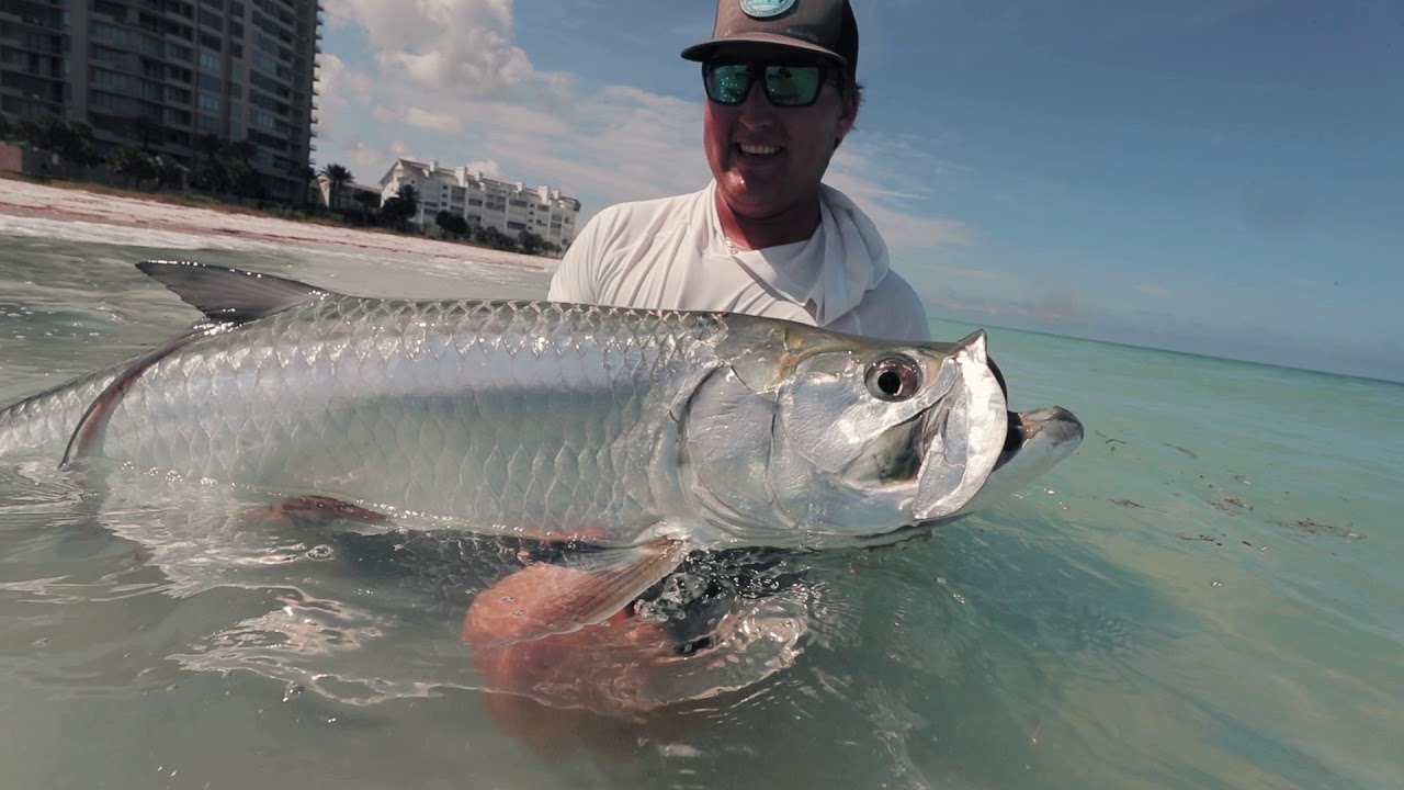 Fort Myers Fishing with premio Pliers
