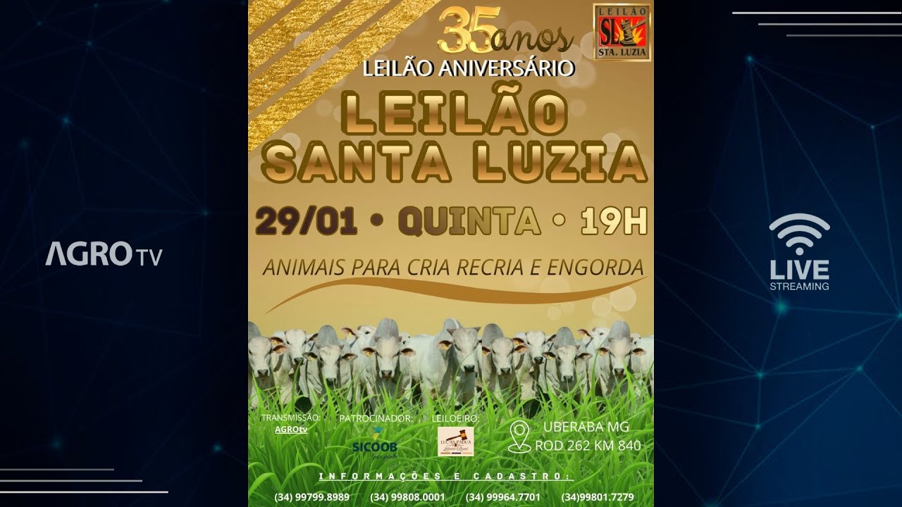 LEILÃO ESPECIAL DE ANIVERSARIO SANTA LUZIA - 29/01/2026